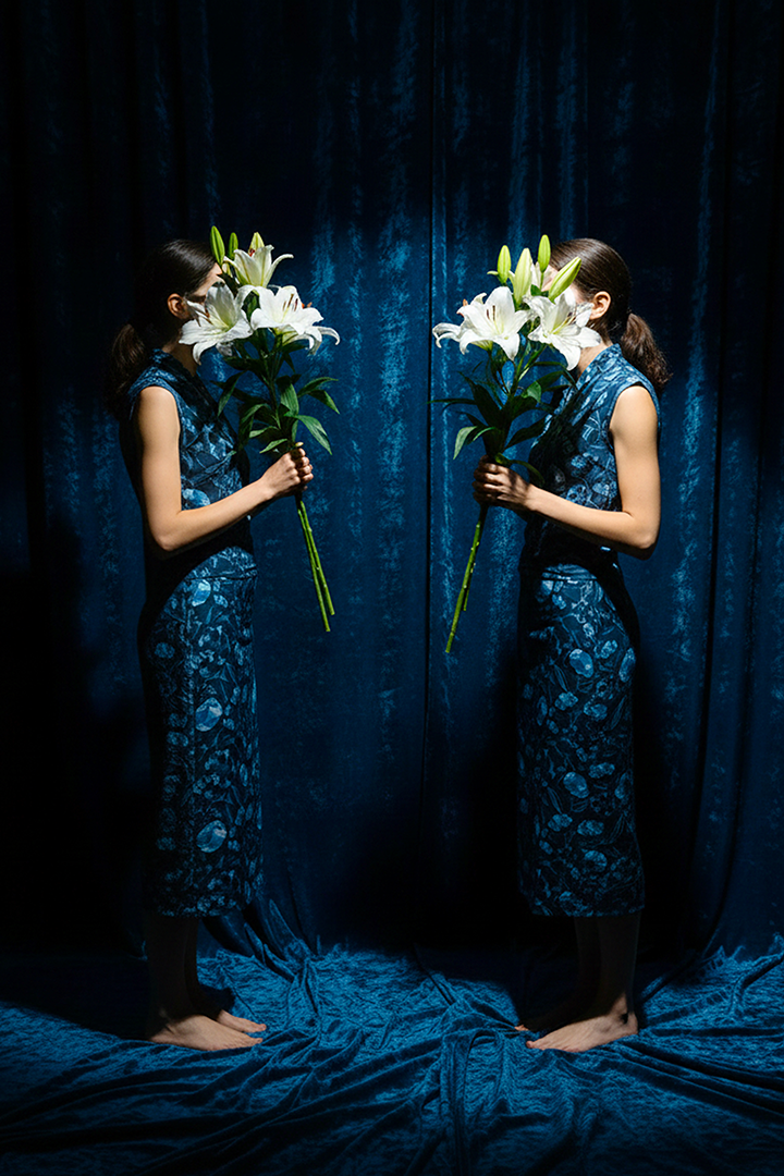 Person holding white flowers in front of a blue curtain